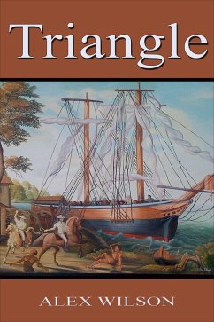 Cover Triangle (eBook, ePUB)