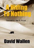 Hiding To Nothing (eBook, ePUB)