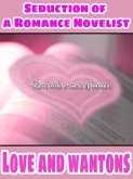 Love and Wontons and Seduction Of The Romance Novelist (Combined Edition) (eBook, ePUB)