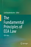 The Fundamental Principles of EEA Law