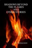 Shadows Beyond The Flames and Other Stories (eBook, ePUB)