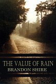 Value of Rain (eBook, ePUB)