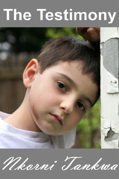 Testimony (eBook, ePUB)