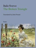 Broken Triangle (eBook, ePUB)