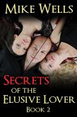 Secrets of The Elusive Lover: Book 2 (eBook, ePUB)