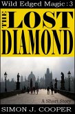 Lost Diamond (eBook, ePUB) Lost Diamond (eBook, ePUB)