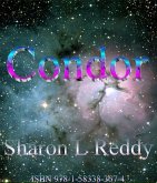 Condor (eBook, ePUB)