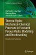 Thermo-Hydro-Mechanical-Chemical... - Bild 1