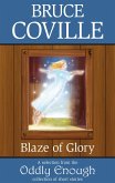Blaze of Glory (eBook, ePUB) Blaze of Glory (eBook, ePUB)