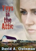 Toys In The Attic (eBook, ePUB)