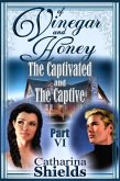 Of Vinegar and Honey, Part VI: &quote;The Captivated and The Captive&quote; (eBook, ePUB)