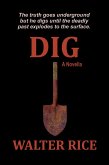 Dig (eBook, ePUB)
