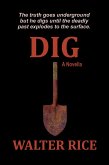Dig (eBook, ePUB) Dig (eBook, ePUB)