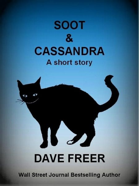Soot & Cassandra (eBook, ePUB)