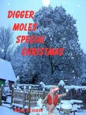 Digger Mole's Special Christmas (eBook, ePUB)