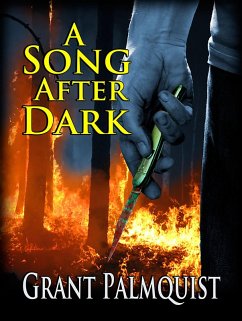 A Song After Dark (eBook, ePUB) - Palmquist, Grant