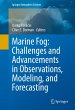 Marine Fog: Challenges and Advancements... - Bild 1