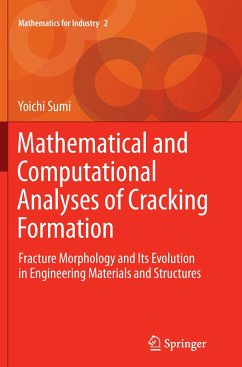 Mathematical and Computational Analyses of Cracking Formation - Sumi, Yoichi