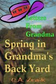 Spring In Grandma's Back Yard (eBook, ePUB)
