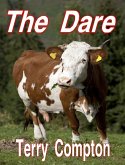 Dare (eBook, ePUB)