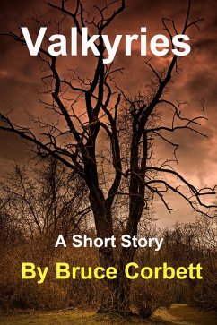 Cover Valkyries (eBook, ePUB)