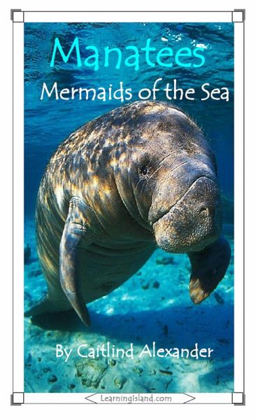 Manatees: Mermaids of the Sea (eBook, ePUB)