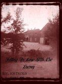 Falling in Love with the Enemy (eBook, ePUB)