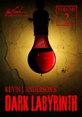 Dark Labyrinth 2 (eBook, ePUB)