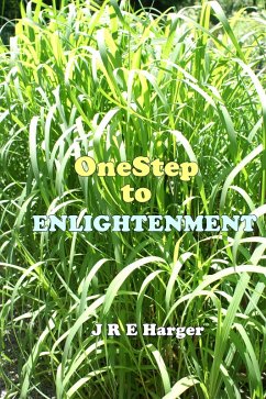 One Step To Enlightenment (eBook, ePUB) - Harger, J. Robin E.