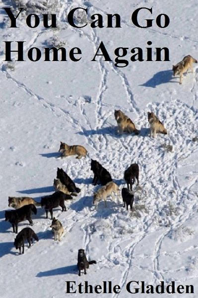 You Can Go Home Again (eBook, ePUB) You Can Go Home Again (eBook, ePUB)