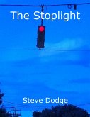 Stoplight (eBook, ePUB)