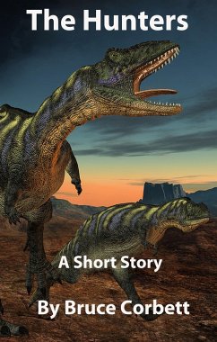 Cover Hunters (eBook, ePUB)