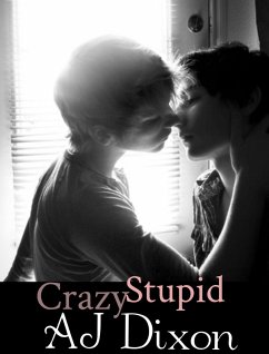 Crazy Stupid (eBook, ePUB) - Dixon, Aj