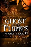 Ghost in the Flames (eBook, ePUB)