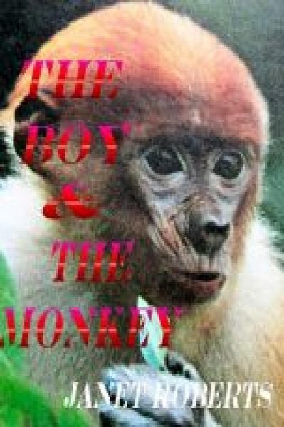 Boy & The Monkey (eBook, ePUB)