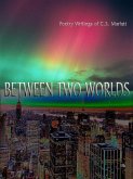 Between Two Worlds (eBook, ePUB)