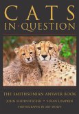 Cats in Question (eBook, ePUB)