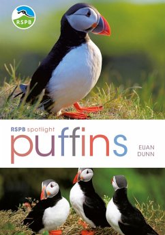 RSPB Spotlight: Puffins (eBook, PDF) - Dunn, Euan