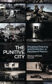 The Punitive City (eBook, PDF)