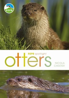 Cover RSPB Spotlight: Otters (eBook, PDF)