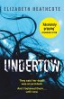 Undertow (eBook, ePUB) - Bild 1
