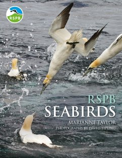RSPB Seabirds (eBook, PDF) - Taylor, Marianne