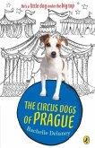 The Circus Dogs of Prague