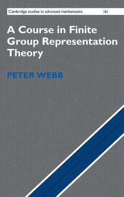 A Course in Finite Group Representation Theory - Webb, Peter