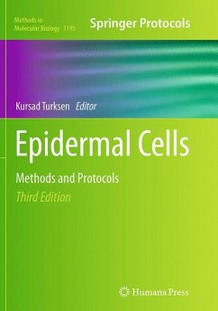 Epidermal Cells