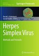 Herpes Simplex Virus - Bild 1