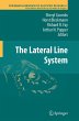 The Lateral Line System - Bild 1