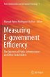 Measuring E-government Efficiency - Bild 1