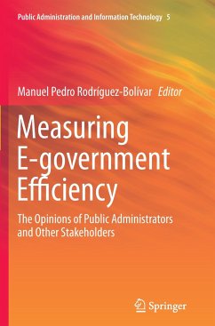 Measuring E-government Efficiency