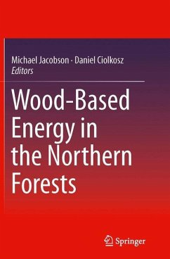 Wood-Based Energy in the Northern Forests